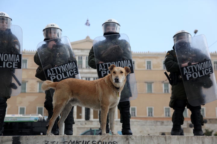 Φωτογραφία αρχείου - 2012 Ο Λουκάνικος