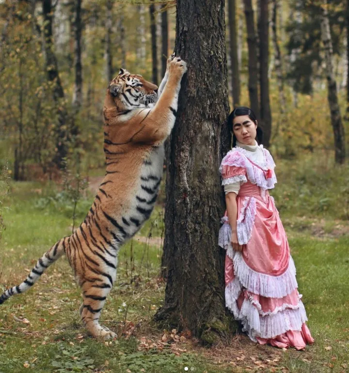 イモトアヤコさん 本物の虎との衝撃写真がまるで アラジン の世界 気が気じゃなかった ハフポスト アートとカルチャー