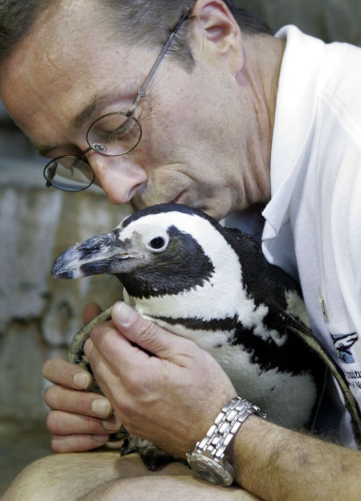 Tom Dyer kisses Patience the penguin at the Audubon Aquarium as it re-opened for the first time after Hurricane Katrina in May 2006.