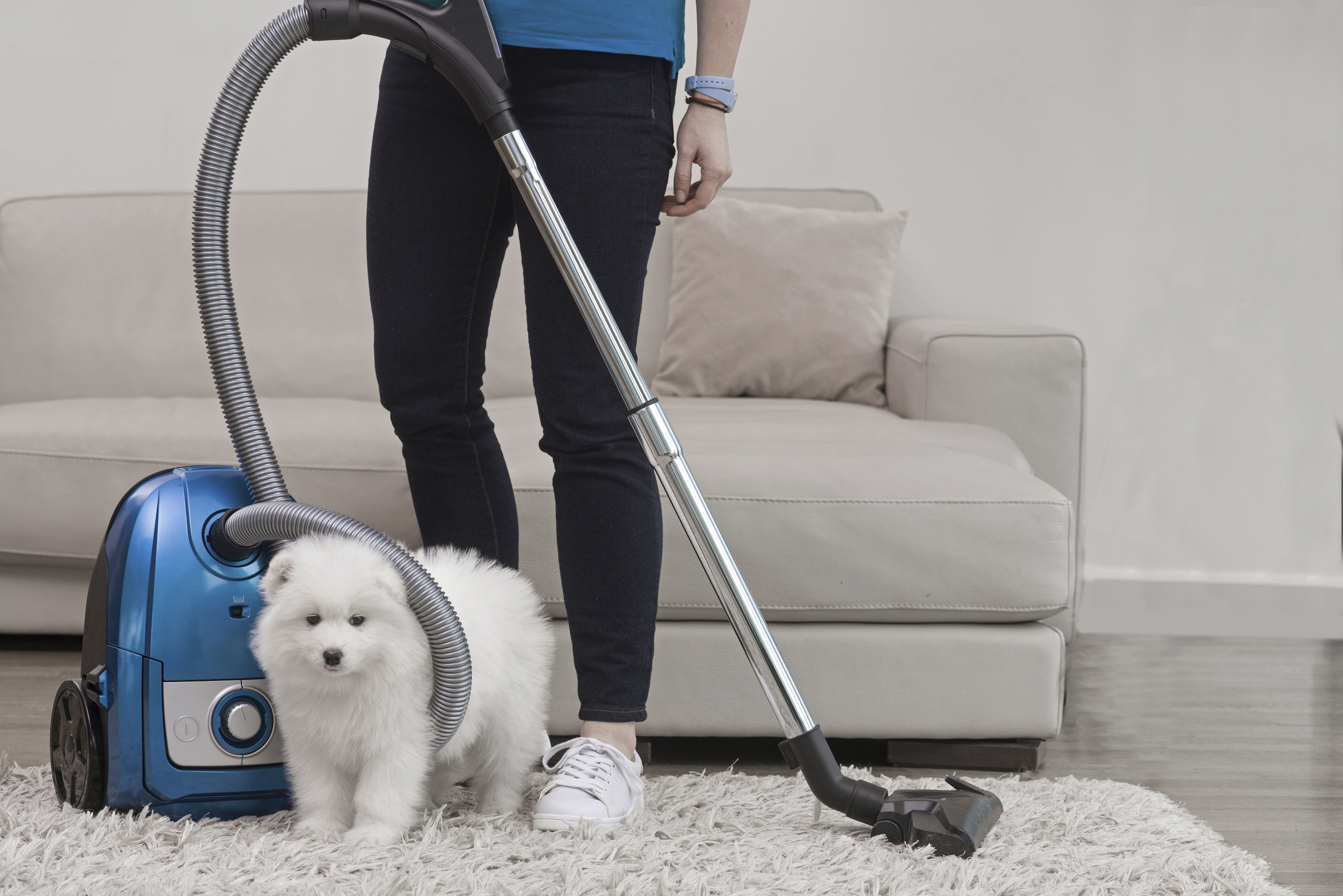 Top 5 Best Vacuums For Pet Hair 2022  YouTube