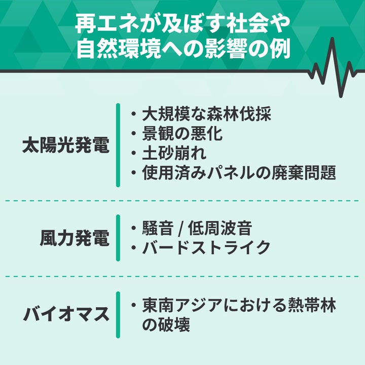 気候変動対策は目先の数値合わせに陥らず、生物多様性など地球環境全体の保全を前提に考えなくてはならない。