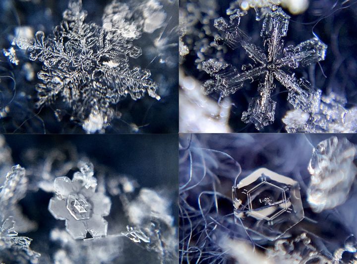 スマートフォンと100均のレンズで撮った雪の結晶の写真