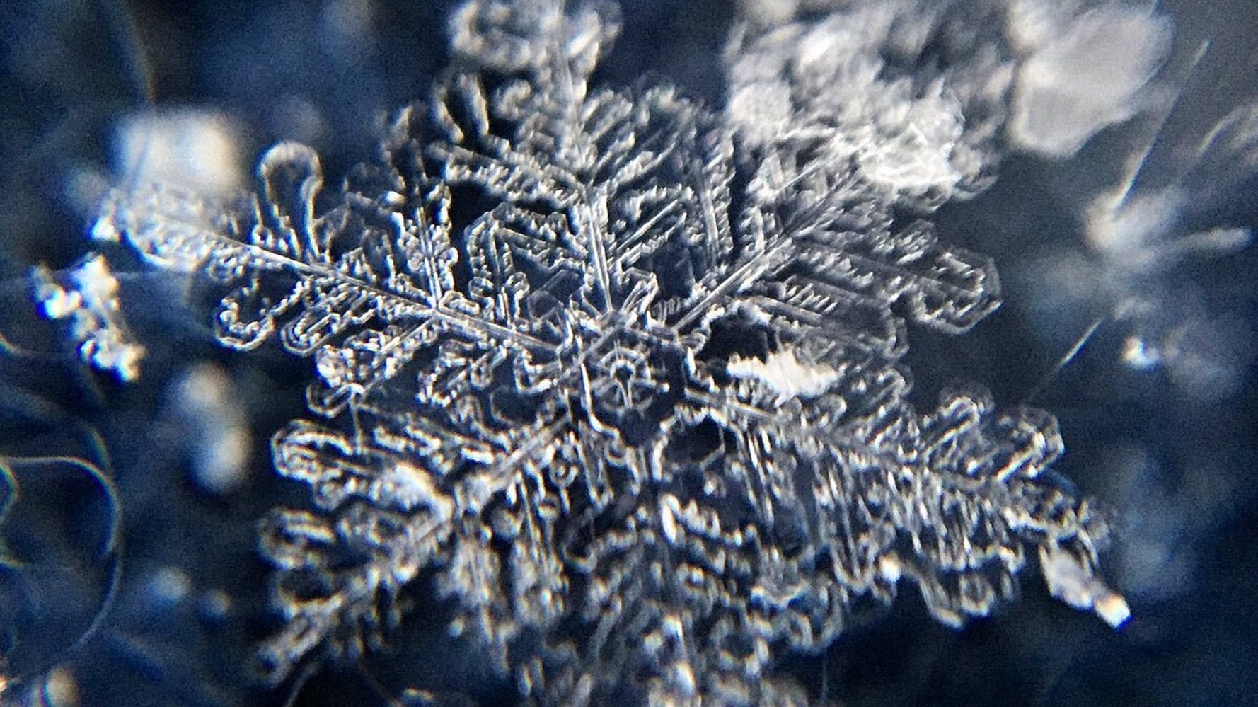 雪の結晶 スマホで簡単に撮影できるんです 天気のプロが解説 めっちゃ分かりやすい 画像集 ハフポスト News 雪の結晶 スマホで簡単に撮影できるんです 天気のプロが解説 めっちゃ分かりやすい 画像集 ハフポスト News