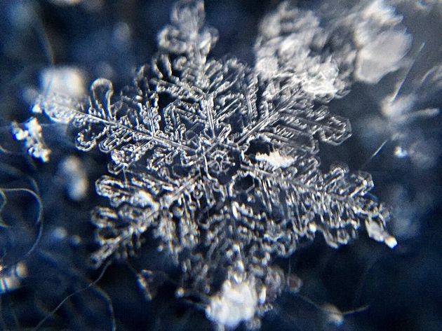 スマートフォンで撮影した雪の結晶