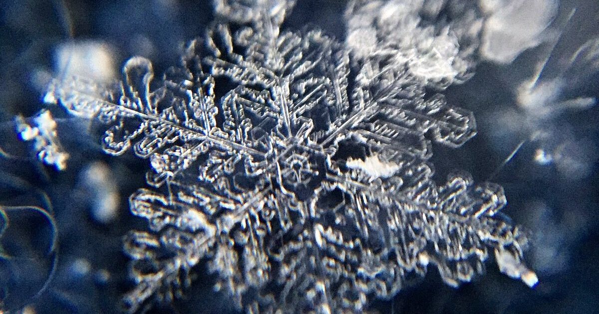 雪の結晶 スマホで簡単に撮影できるんです 天気のプロが解説 めっちゃ分かりやすい 画像集 ハフポスト News