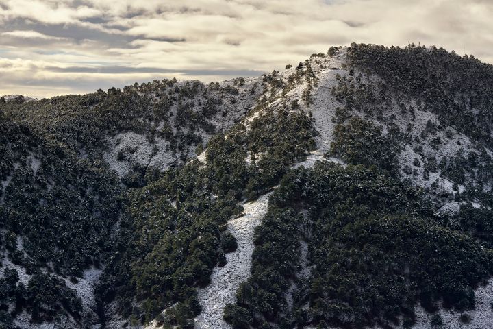 Paisaje del Parque Nacional de la Sierra de las Nieves.