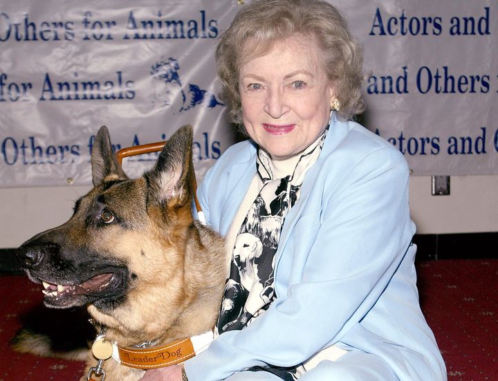 Betty White sits with a guide dog named Edison in the green room of the "Actors and Others for Animals" roast of Betty White in 2005.