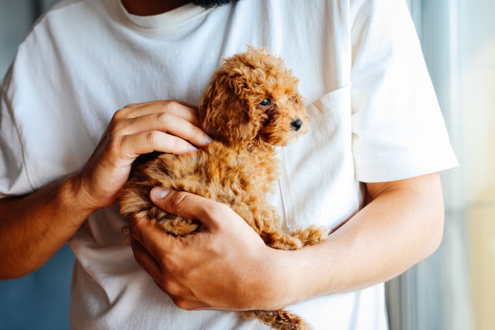 OVO recommended people should cuddle their pets to stay warm