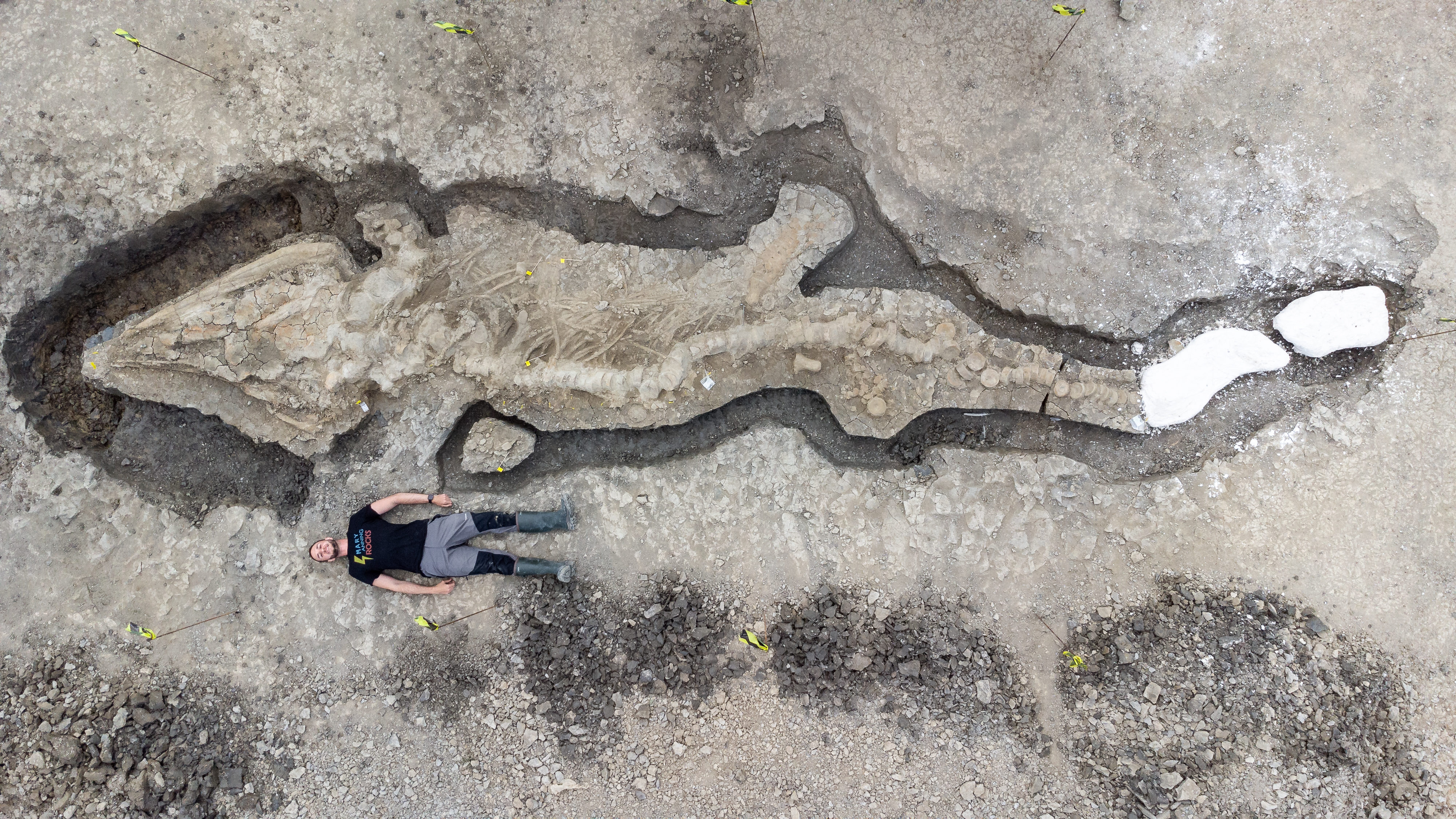 体長約10メートルの「魚竜」、イクチオサウルスの化石を発見