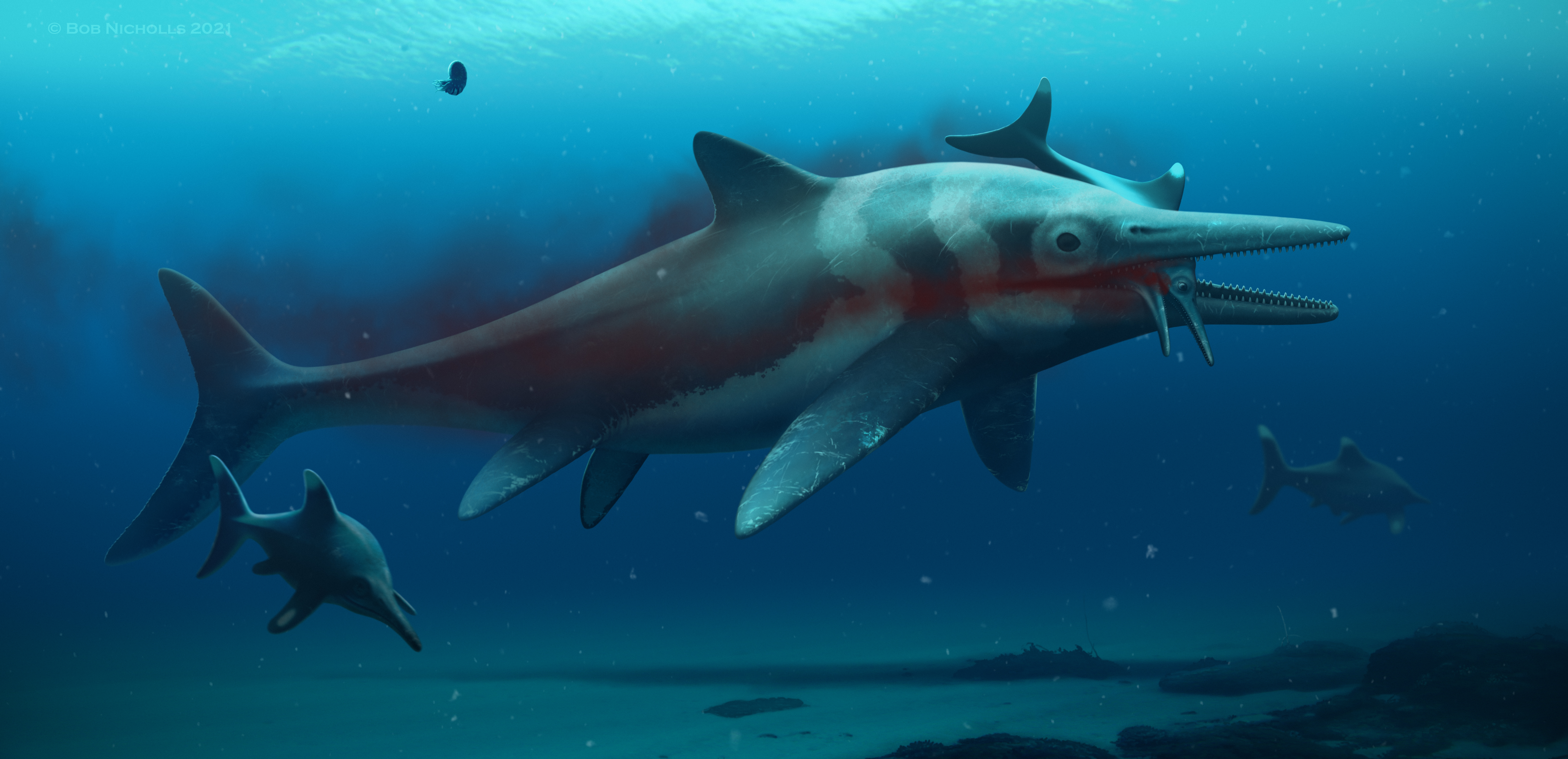 体長約10メートルの「魚竜」、イクチオサウルスの化石を発見 イギリス