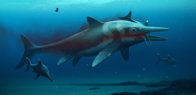 体長約10メートルの 魚竜 イクチオサウルスの化石を発見 イギリス ハフポスト日本版 Goo ニュース