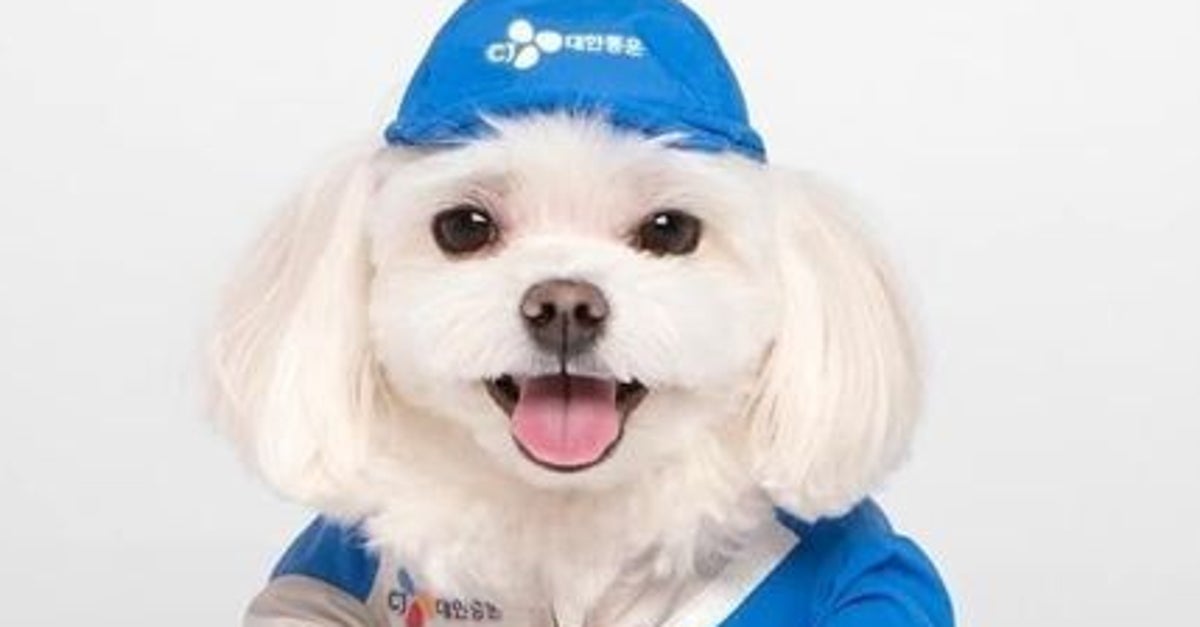 블라인드 | CJ대한통운 뉴스