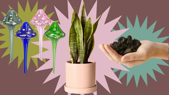 Keep plants hydrated with these <a href="https://www.amazon.com/Mushroom-Self-Watering-Automatic-Irrigationdevice-Houseplant/dp/B09BN6NSNW?tag=tessaflores-20&ascsubtag=61de51ade4b067ce7e89b6e5%2C-1%2C-1%2Cd%2C0%2C0%2Chp-fil-am%3D0%2C0%3A0%2C0%2C0%2C0" target="_blank" role="link" data-amazon-link="true" rel="sponsored" class=" js-entry-link cet-external-link" data-vars-item-name="charming watering bulbs" data-vars-item-type="text" data-vars-unit-name="61de51ade4b067ce7e89b6e5" data-vars-unit-type="buzz_body" data-vars-target-content-id="https://www.amazon.com/Mushroom-Self-Watering-Automatic-Irrigationdevice-Houseplant/dp/B09BN6NSNW?tag=tessaflores-20&ascsubtag=61de51ade4b067ce7e89b6e5%2C-1%2C-1%2Cd%2C0%2C0%2Chp-fil-am%3D0%2C0%3A0%2C0%2C0%2C0" data-vars-target-content-type="url" data-vars-type="web_external_link" data-vars-subunit-name="article_body" data-vars-subunit-type="component" data-vars-position-in-subunit="0">charming watering bulbs</a> and <a href="https://go.skimresources.com/?id=38395X987171&xs=1&xcust=vacationplants-TessaFlores-011221-&url=https%3A%2F%2Fwww.thesill.com%2Fproducts%2Flava-rocks-plant-supplies%3Fvariant%3D5459434668073" target="_blank" role="link" rel="sponsored" class=" js-entry-link cet-external-link" data-vars-item-name="moisture-holding lava rocks" data-vars-item-type="text" data-vars-unit-name="61de51ade4b067ce7e89b6e5" data-vars-unit-type="buzz_body" data-vars-target-content-id="https://go.skimresources.com/?id=38395X987171&xs=1&xcust=vacationplants-TessaFlores-011221-&url=https%3A%2F%2Fwww.thesill.com%2Fproducts%2Flava-rocks-plant-supplies%3Fvariant%3D5459434668073" data-vars-target-content-type="url" data-vars-type="web_external_link" data-vars-subunit-name="article_body" data-vars-subunit-type="component" data-vars-position-in-subunit="1">moisture-holding lava rocks</a>, or opt for a <a href="https://go.skimresources.com/?id=38395X987171&xs=1&xcust=vacationplants-TessaFlores-011221-&url=https%3A%2F%2Fwww.thesill.com%2Fproducts%2Fsnake-plant-laurentii%3Fvariant%3D30497623244905" target="_blank" role="link" rel="sponsored" class=" js-entry-link cet-external-link" data-vars-item-name="low maintenance snake plant" data-vars-item-type="text" data-vars-unit-name="61de51ade4b067ce7e89b6e5" data-vars-unit-type="buzz_body" data-vars-target-content-id="https://go.skimresources.com/?id=38395X987171&xs=1&xcust=vacationplants-TessaFlores-011221-&url=https%3A%2F%2Fwww.thesill.com%2Fproducts%2Fsnake-plant-laurentii%3Fvariant%3D30497623244905" data-vars-target-content-type="url" data-vars-type="web_external_link" data-vars-subunit-name="article_body" data-vars-subunit-type="component" data-vars-position-in-subunit="2">low maintenance snake plant</a> that doesn't require much water.