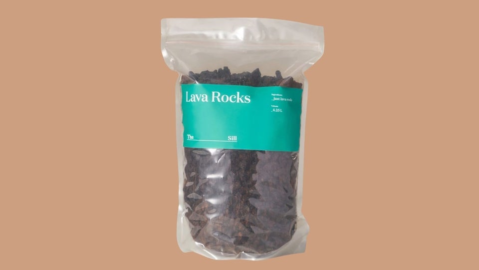 A bag of organic lava rocks that hold onto moisture