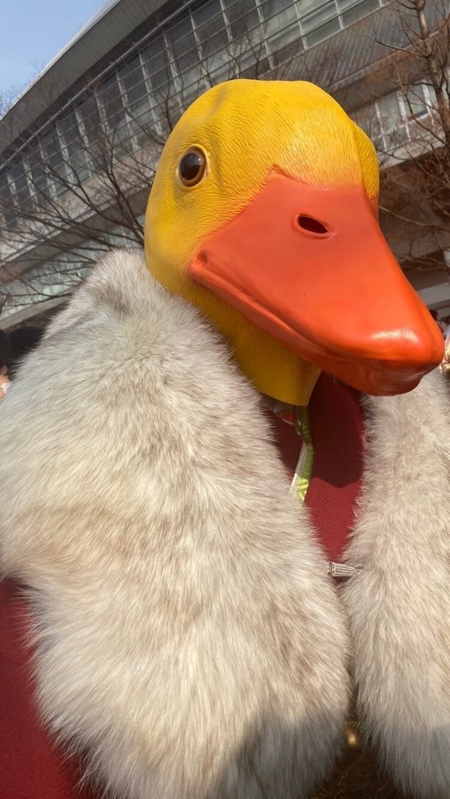 新成人の アヒルのかぶりもの に列島騒然 なぜその格好 本人に聞いた 動画 画像集 ハフポスト 新成人の アヒルのかぶりもの に列島騒然 なぜその格好 本人に聞いた 動画 画像集 ハフポスト