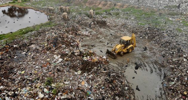 死んだゾウの体内から大量のプラスチック。スリランカのゴミ捨て場でゾウが死んでいる