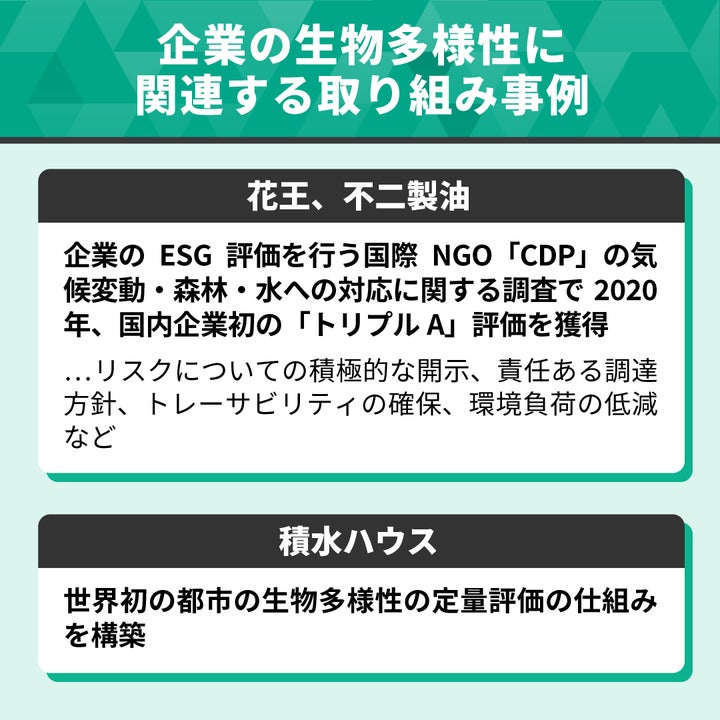 企業の生物多様性に関連する取り組み事例