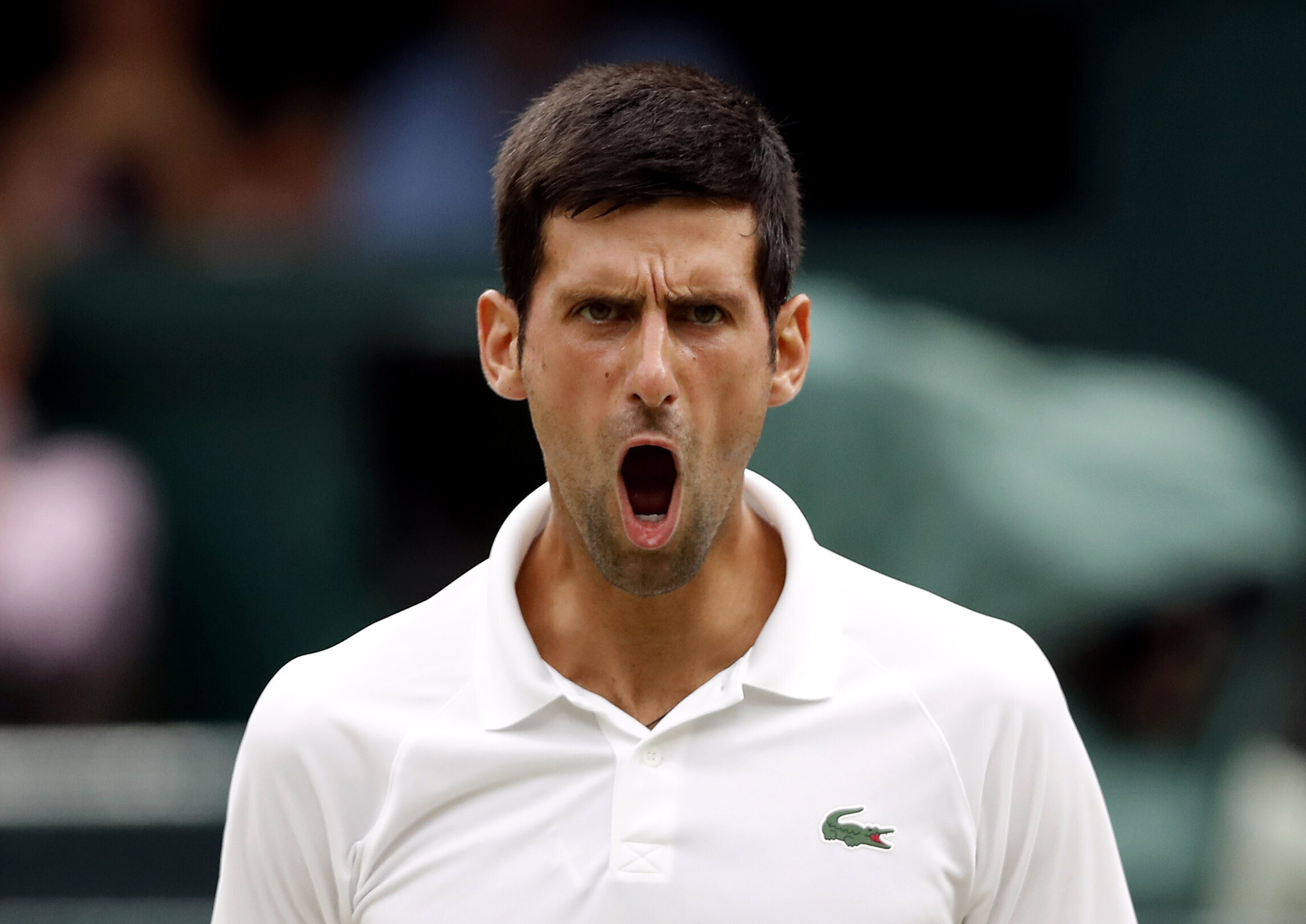 Novak Djokovic Set To Be Deported From Australia After Losing Visa ...