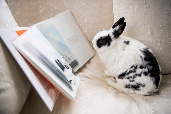 Marlon Bundo poses with "Marlon Bundo's Day in the Life of the Vice President" in 2018.