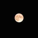 ウルフムーンとは。2022年の最初の満月は「地球から最も遠い」。満月になる時間は？【天体ショー】