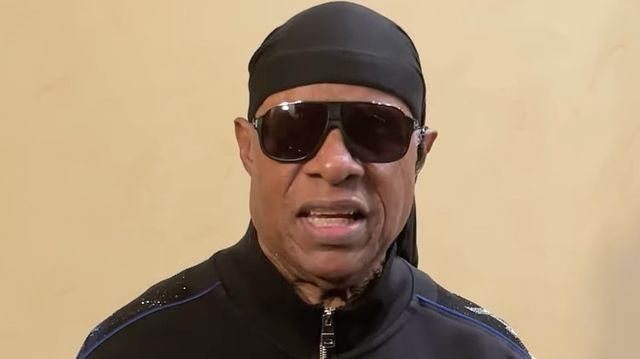 Stevie Wonder Calls Out Lawmakers In The Most Epic Way Possible.jpg