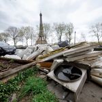 Face au #saccageParis, la mairie de Paris promet la fin des pieds d'arbres