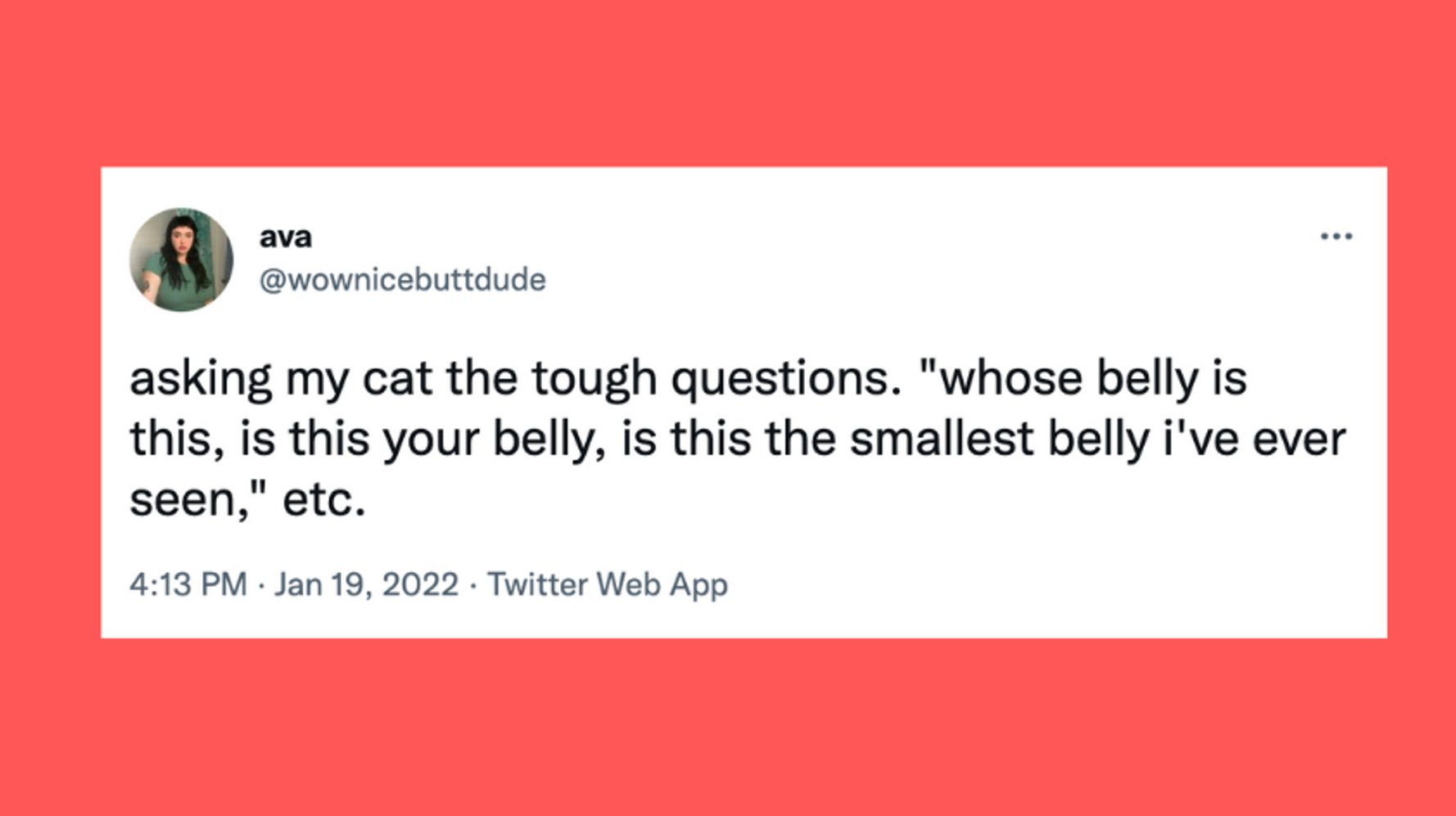 21 Of The Funniest Tweets About Cats And Dogs This Week (Jan. 15-21)