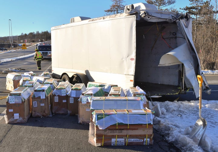 Crates holding live monkeys are collected next to the trailer they were being transported in along state Route 54 at the intersection with Interstate 80 near Danville, Pa., Friday, Jan. 21, 2022, after a pickup pulling the trailer carrying the monkeys was hit by a dump truck. They were transporting 100 monkeys and several were on the loose at the time of the photo. (Jimmy May/Bloomsburg Press Enterprise via AP)