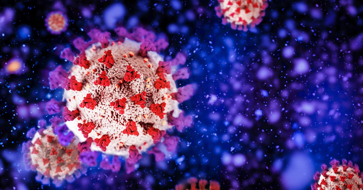 Variant Omicron: Ce qu’il faut retenir des nouvelles études américaines sur la protection des vaccins Variant Omicron: Ce qu’il faut retenir des nouvelles études américaines sur la protection des vaccins