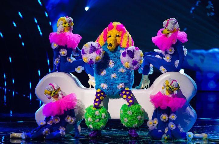 Poodle was unmasked on the latest episode of The Masked Singer