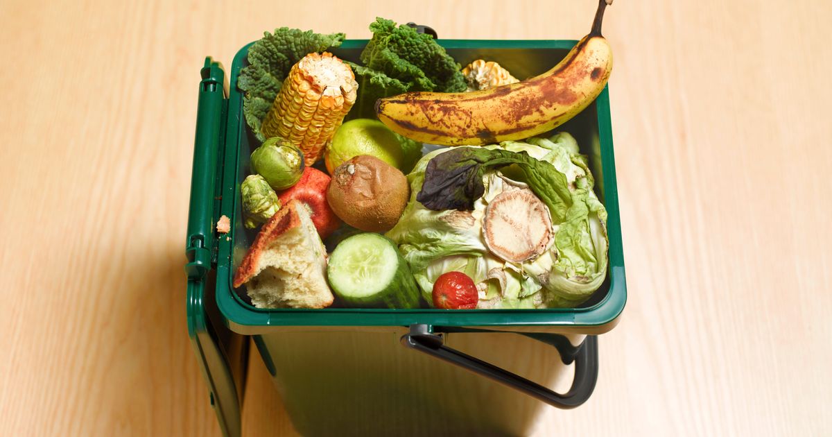 How To Reduce Food Waste By Composting And What You Need To Start