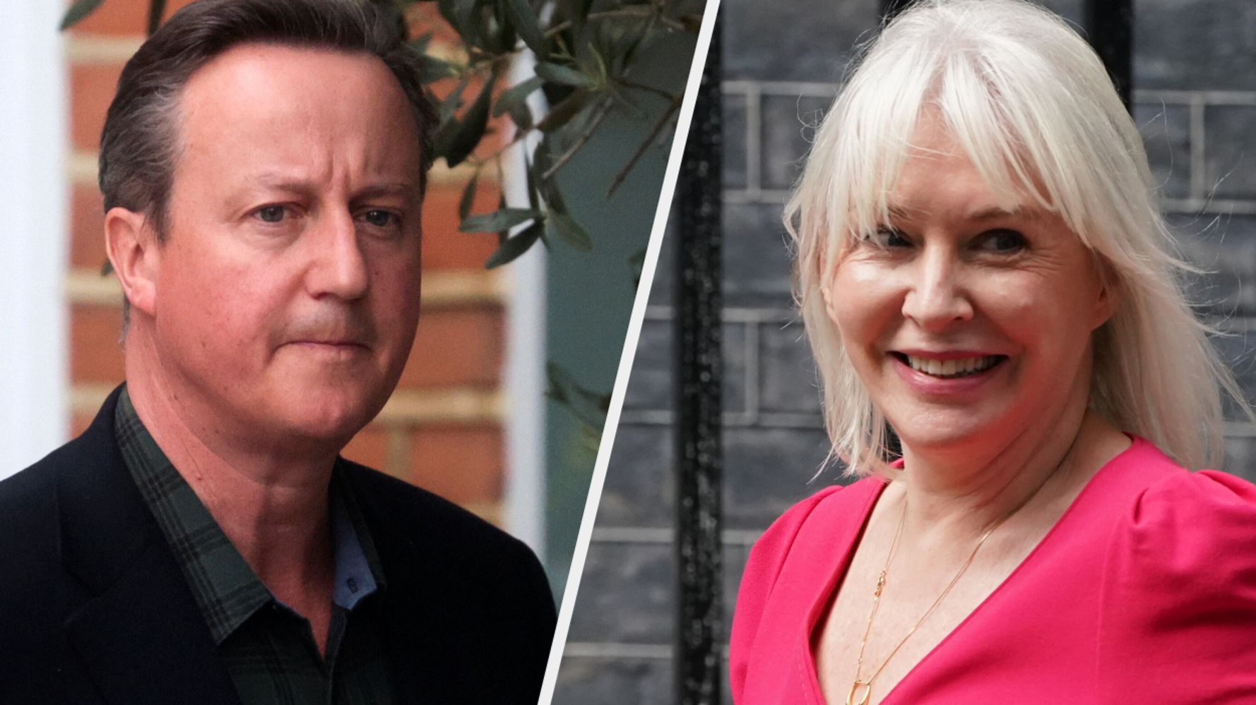 Nadine Dorries Pokes Fun At David Cameron's New Look