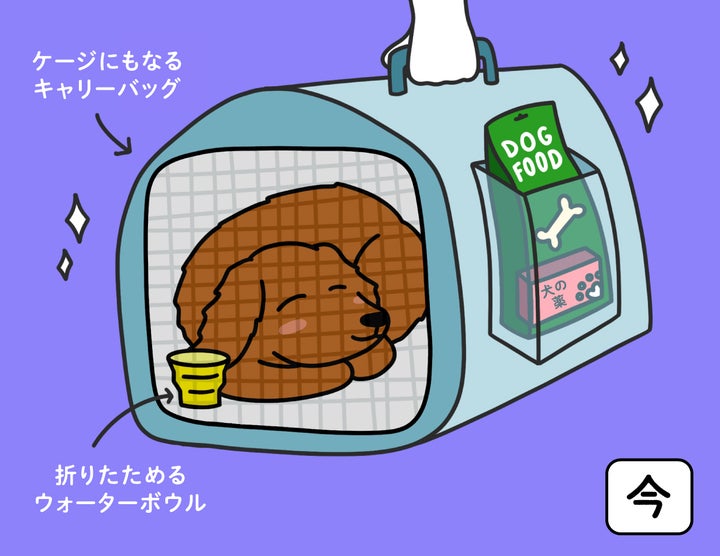 今:情報やグッズが充実で安心