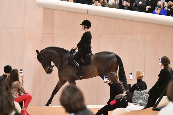 Just a very casual horse on the Chanel runway. 