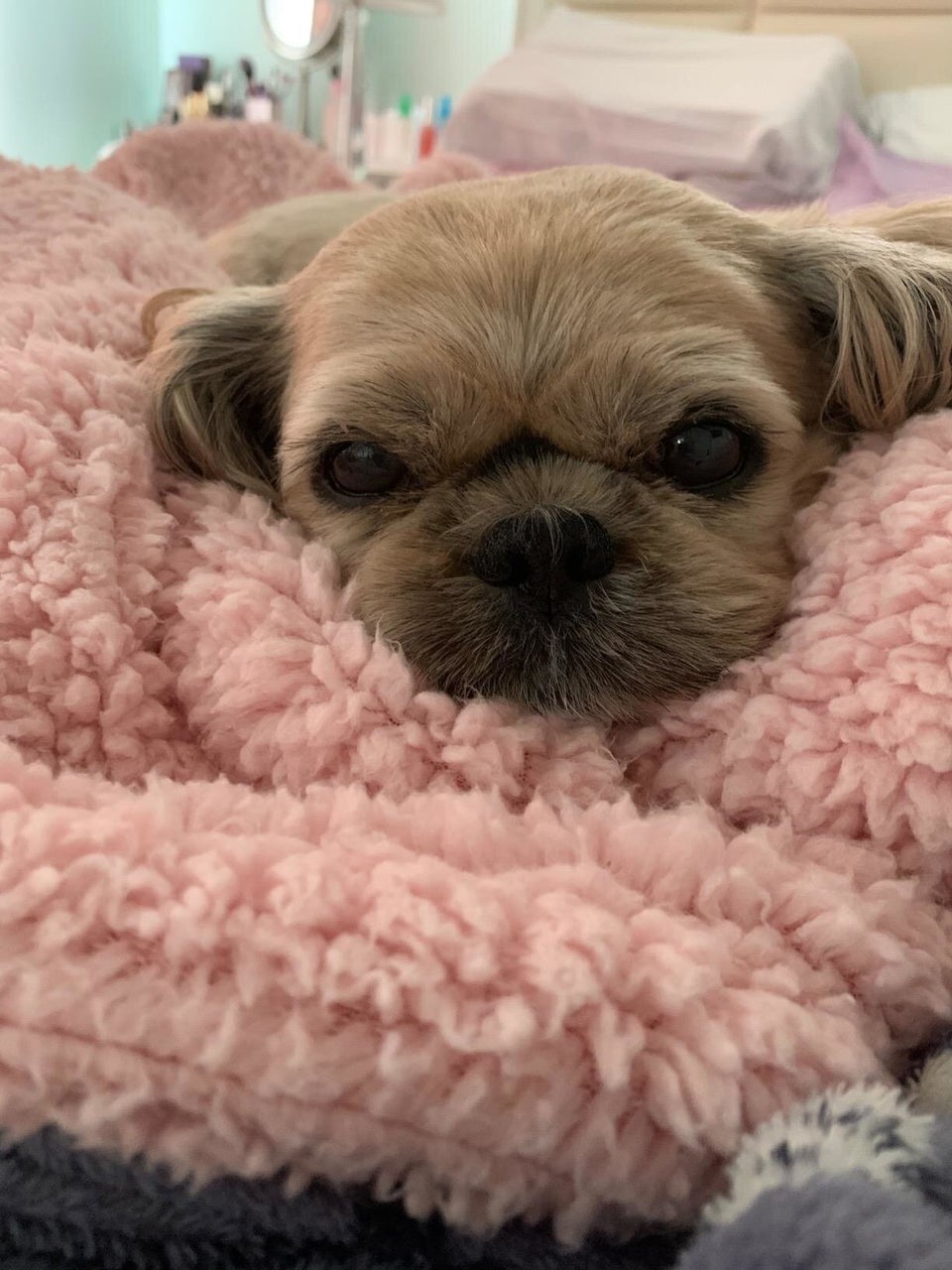 An ultra-fluffy fleece blanket