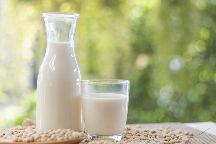 Milky Plant review: Is the homemade nut milk maker worth the money?