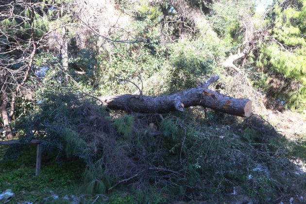 ΧΙΟΝΙΑ ΣΤΟ ΚΕΝΤΡΟ ΤΗΣ ΑΘΗΝΑΣ ΠΕΝΤΕ ΗΜΕΡΕΣ ΜΕΤΑ ΤΗΝ ΚΑΚΟΚΑΙΡΙΑ 