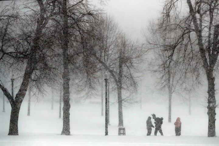 Snow falls on Boston Common, Saturday, Jan. 29, 2022, in Boston. (AP Photo/Michael Dwyer)