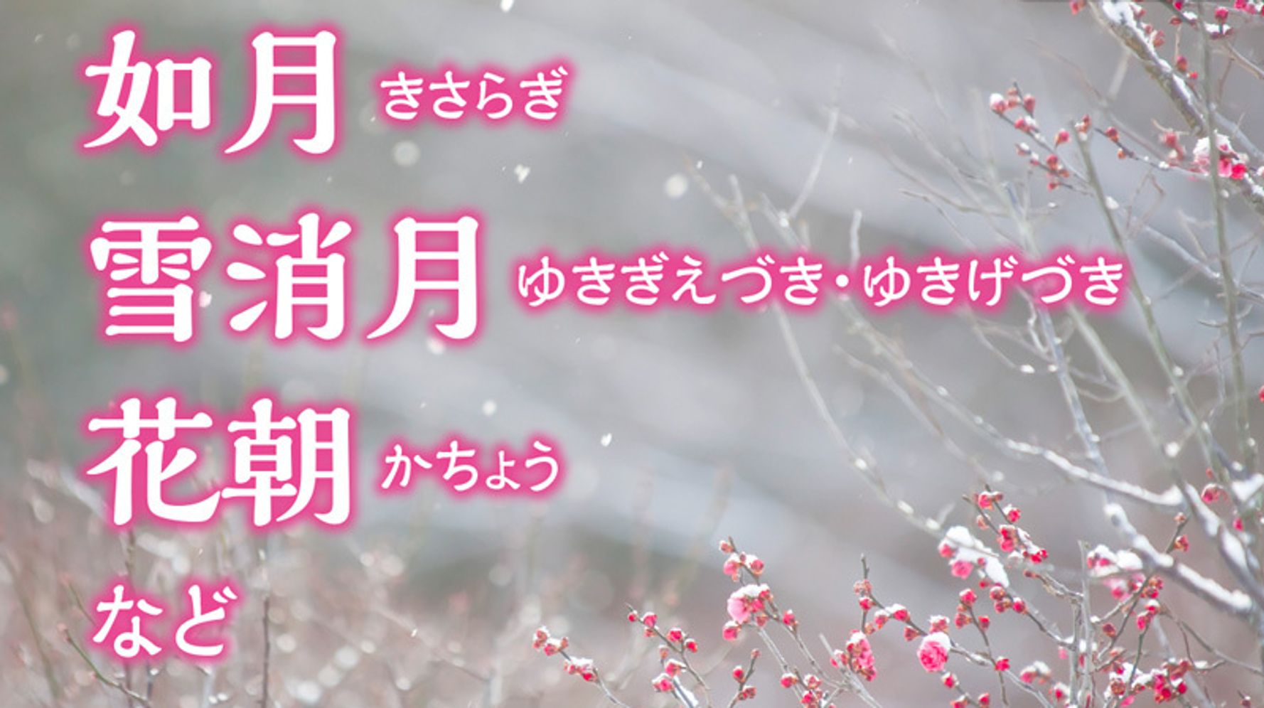 2月の呼称一覧 春の喜びに満ちている呼称がたくさん 由来と呼び名は ハフポスト News