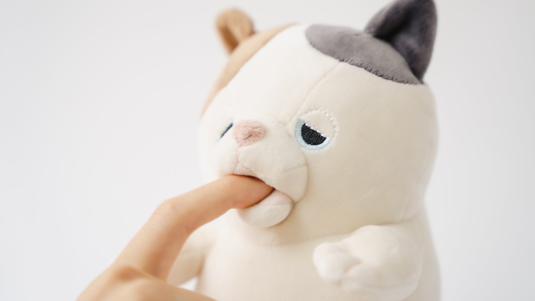 いくらでも甘噛みされていいんです 全人類を葛藤から解放する 甘噛みハムハム に反響 ハフポスト News いくらでも甘噛みされていいんです 全人類を葛藤から解放する 甘噛みハムハム に反響 ハフポスト News