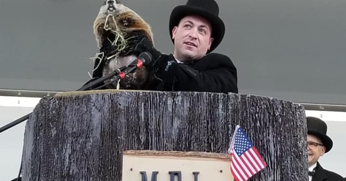 Панксатонский фил сурок. Groundhog day punxsutawney. Сурок 2020. Сурок 2020. Панксатонский фил сурок.