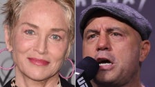 Sharon Stone Scorches Joe Rogan With A Damning Disclaimer For His Podcast