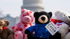 Armed With Teddy Bears, West Virginia Moms Fight To Save The Child Tax Credit