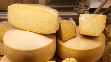 Cheese Incident Inspires Twitter Pun-Fest: ‘Hope No Injuries Were In Curd’