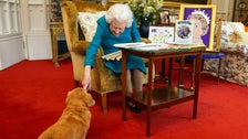 Queen Elizabeth Interrupted By Canine Gate Crasher As She Views Mementoes Of Reign