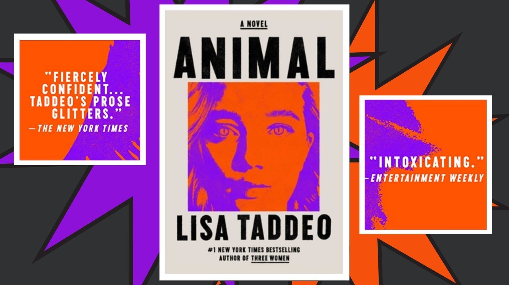 HuffPost Readable, A New Book Club: First Up Is Lisa Taddeo's 'Animal' - Vimarsana News