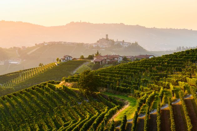 Di fronte alla potenziale comparsa di macchie nutrizionali sulle bottiglie di vino in Europa, l'Italia è preoccupata...
