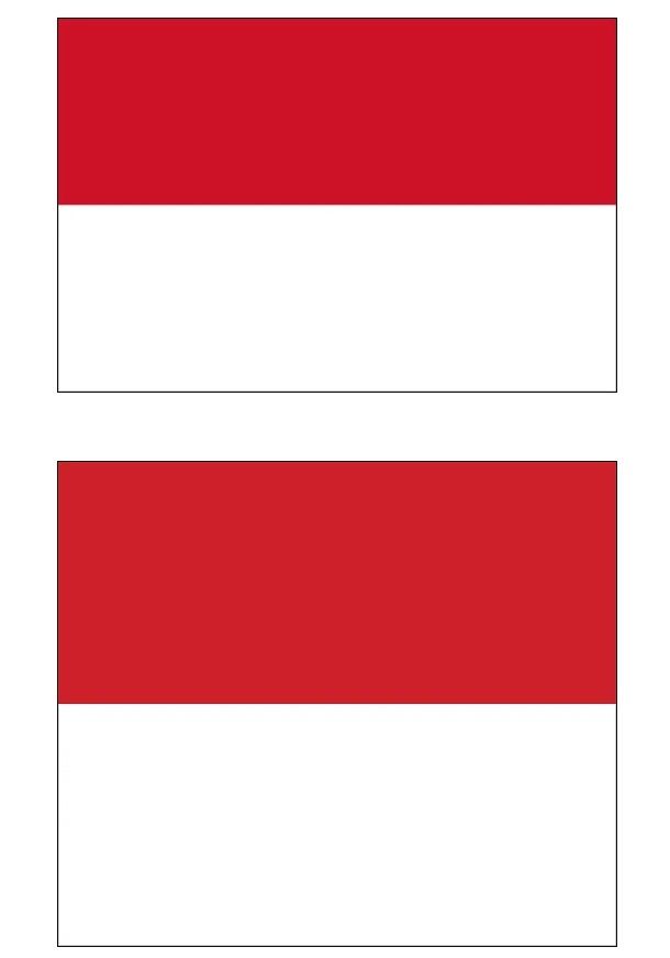 【国旗クイズ第1問】どっちの国か分かる？