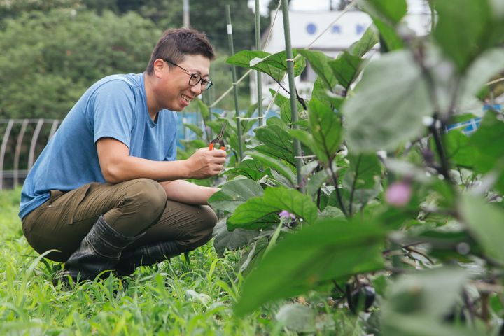 ポケットマルシェを利用している生産者