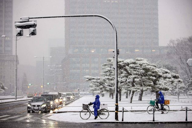 東京都心での積雪（2022年1月6日撮影）